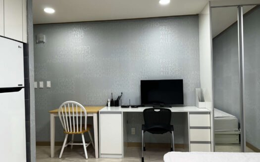 A Cozy Fully Furnished Apt Near Ewha.