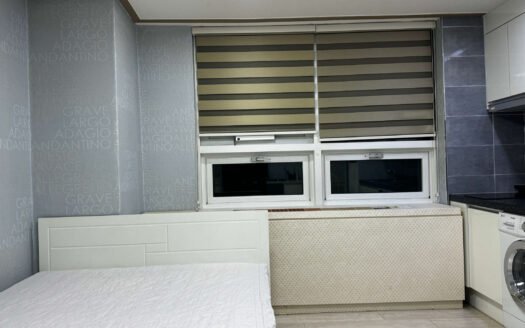 A Cozy Fully Furnished Apt Near Ewha.