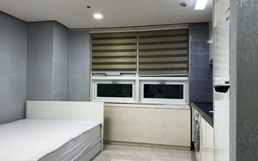 A Cozy Fully Furnished Apt Near Ewha.