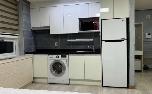 A Cozy Fully Furnished Apt Near Ewha.